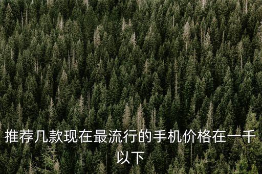 推薦幾款現(xiàn)在最流行的手機(jī)價(jià)格在一千以下