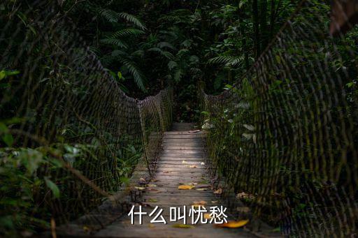 憂愁是什么意思，憂愁的意思