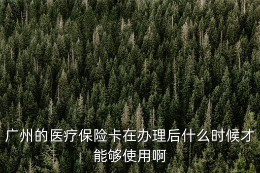 廣州的醫療保險卡在辦理后什么時候才能夠使用啊