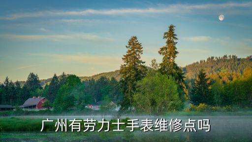 廣州勞力士售后手表，廣州勞力士維修服務中心是哪