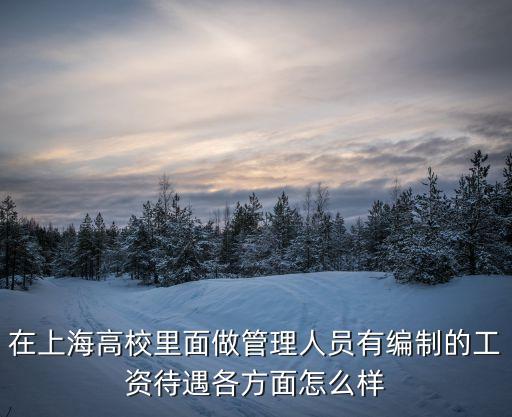 上海市高校行政崗位待遇，上海高校行政人員待遇