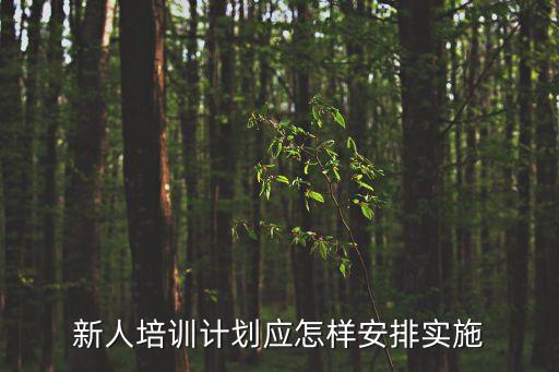 新人培訓計劃應怎樣安排實施