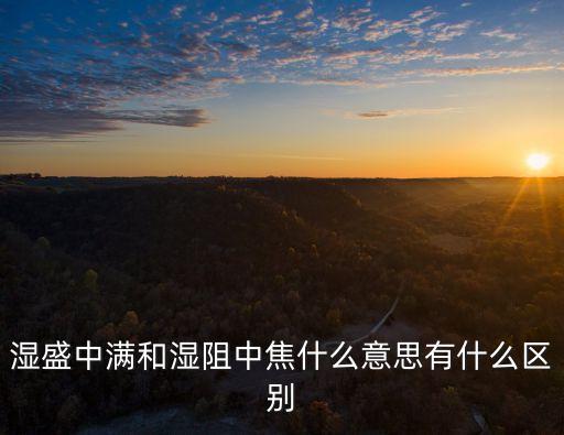 濕盛中滿和濕阻中焦什么意思有什么區(qū)別