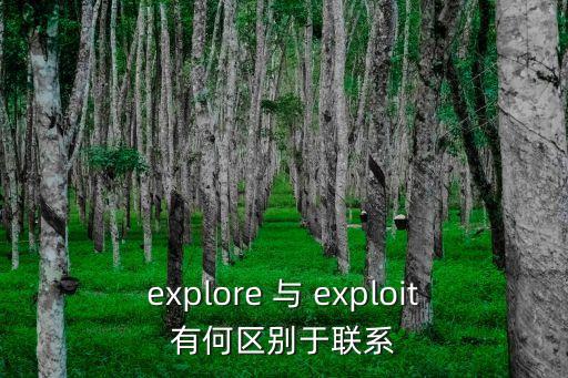 explore的名詞，explore的名詞