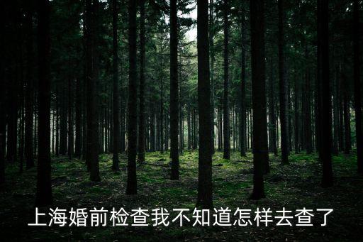 上?；榍皺z查我不知道怎樣去查了