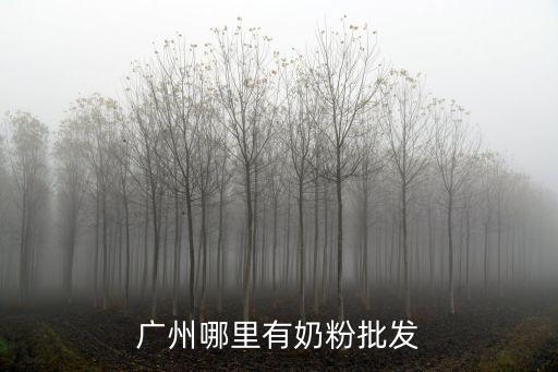 廣州哪里有奶粉批發(fā)