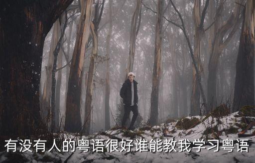 廣州廣府粵語視頻，粵語發源地是廣州