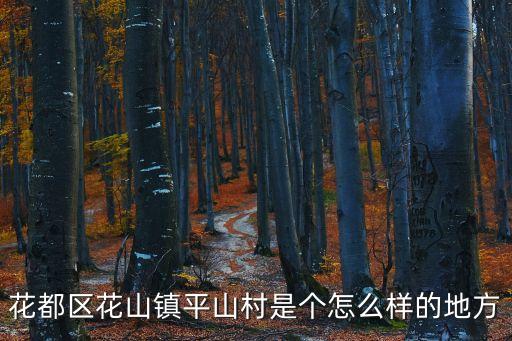 花都區花山鎮平山村是個怎么樣的地方