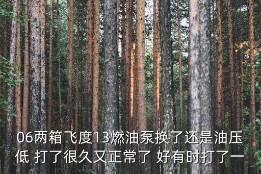 06兩箱飛度13燃油泵換了還是油壓低 打了很久又正常了 好有時打了一