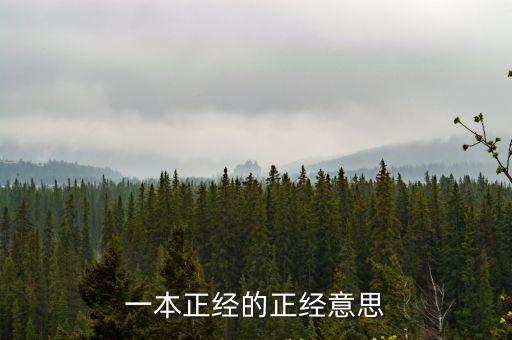 正經的意思，十二正經的介紹