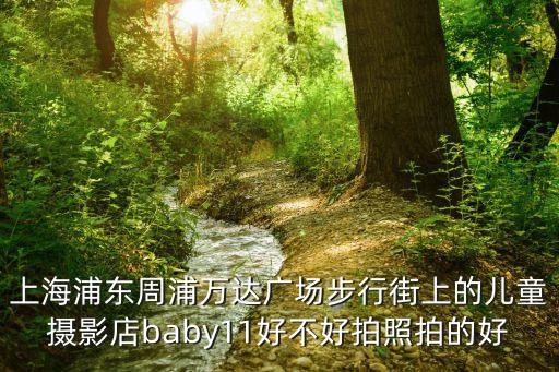 上海浦東周浦萬達廣場步行街上的兒童攝影店baby11好不好拍照拍的好