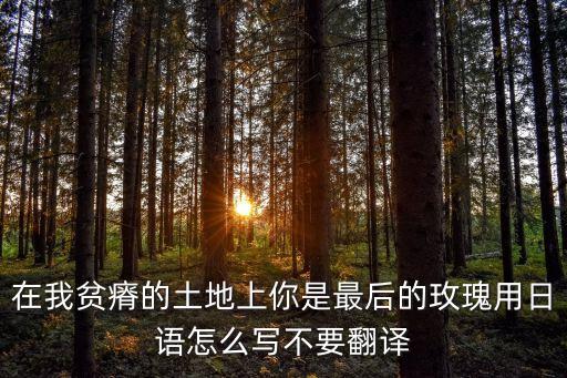 最后的玫瑰，THE LAST ROSE OF SUMMER 是什么意思