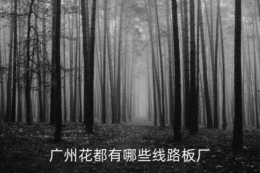 廣州花都有哪些線路板廠