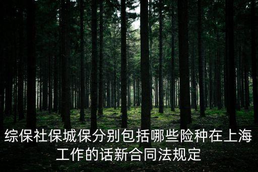 綜保社保城保分別包括哪些險種在上海工作的話新合同法規定