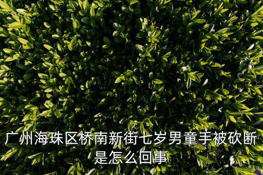 廣州海珠區橋南新街七歲男童手被砍斷是怎么回事
