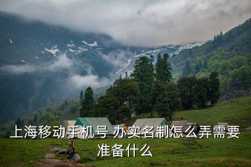 上海市移動卡實名，上海移動手機號 辦實名制怎么弄需要準備什么