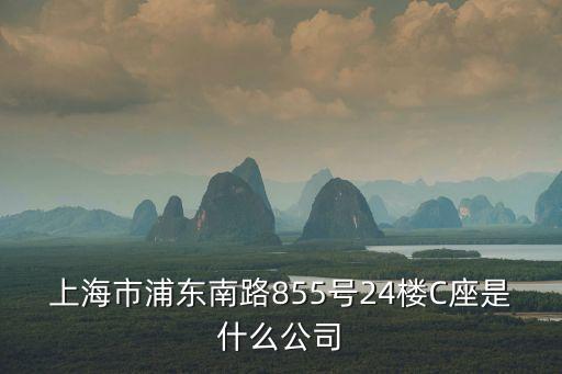 上海市興盛置業有限公司，上海佘山三號開發商是誰