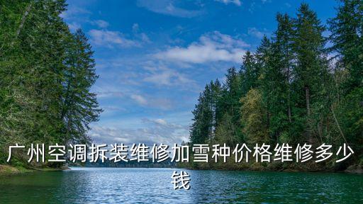 廣州空調拆裝維修加雪種價格維修多少錢