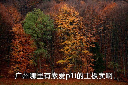 廣州手機智能主板市場價格，廣州哪里有索愛p1i的主板賣啊