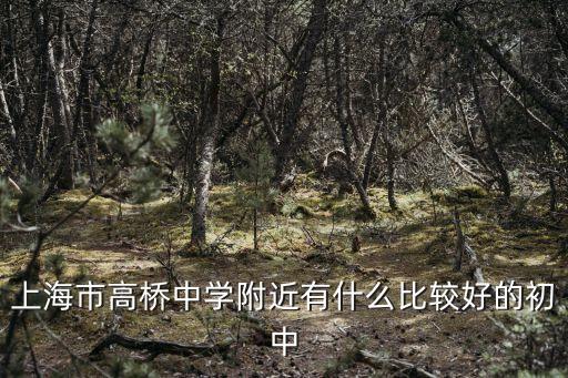 上海市高橋西校，上海市高橋中學附近有什么比較好的初中