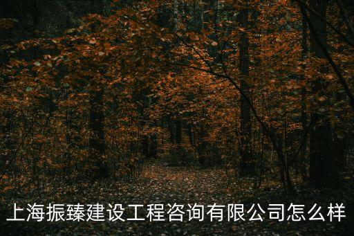 上海振臻建設工程咨詢有限公司怎么樣