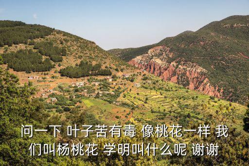 問一下 葉子苦有毒 像桃花一樣 我們叫楊桃花 學明叫什么呢 謝謝