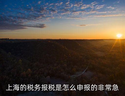上海市怎么抄稅，上海地區(qū)網(wǎng)上抄稅和網(wǎng)上報稅那個在先