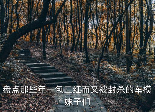 盤點那些年一包二紅而又被封殺的車模妹子們