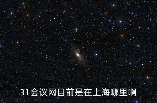 上海市十屆紀委七次會議，上海著大火領導怎么沒有受處分的呢