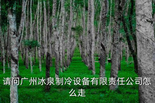 雪冰泉制冰機售后廣州，廣州哪兒有制冰機賣