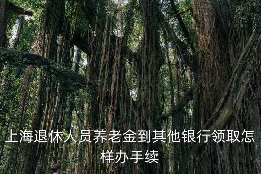 上海市極夜退休人員養老金發放，上海退休人員養老金到其他銀行領取怎樣辦手續