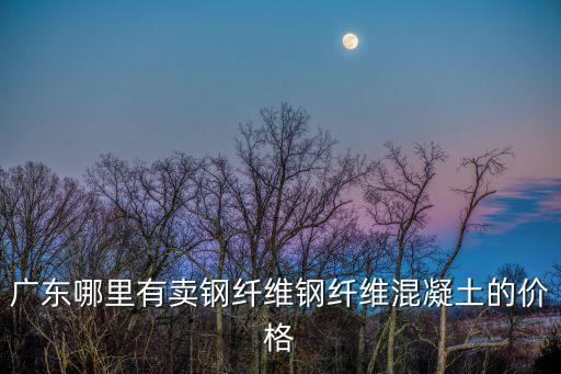 廣東哪里有賣鋼纖維鋼纖維混凝土的價格