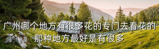 廣州哪個地方有很多花的專門去看花的那種地方最好是有很多