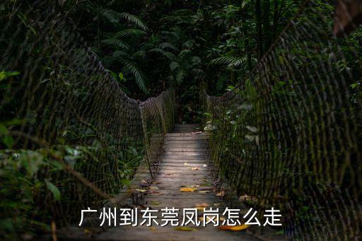 廣州到東莞鳳崗怎么走