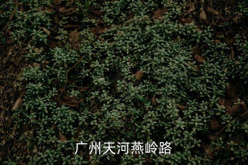 廣州天河燕嶺路