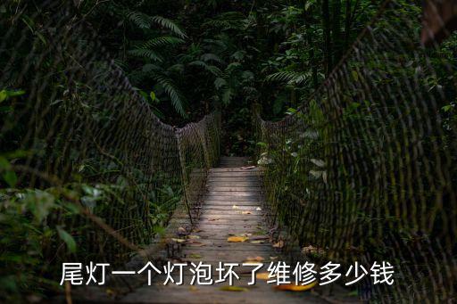 尾燈一個燈泡壞了維修多少錢