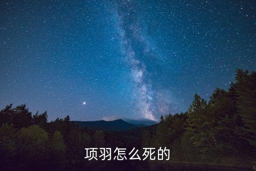 項王，古人常說的項王是誰