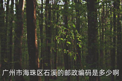 廣州天河石溪屬于哪個街道，廣州海珠區石溪隸屬哪個街道管理