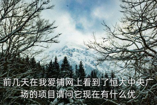 前幾天在我愛鋪網(wǎng)上看到了恒大中央廣場的項目請問它現(xiàn)在有什么優(yōu)