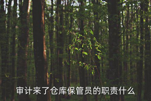 審計來了倉庫保管員的職責什么
