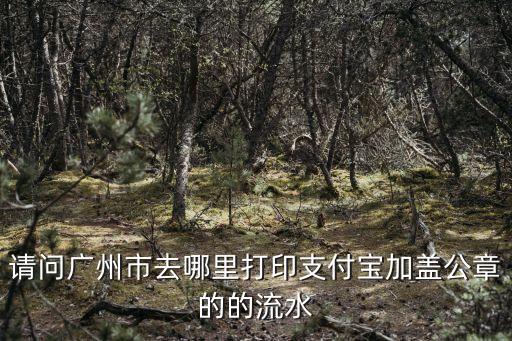 請問廣州市去哪里打印支付寶加蓋公章的的流水