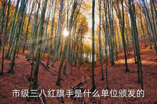 廣州三八紅旗手集體工作室，市級三八紅旗手是什么單位頒發的