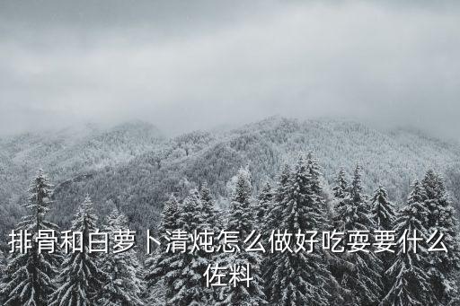 清燉排骨蘿卜湯，排骨和白蘿卜清燉怎么做好吃耍要什么佐料