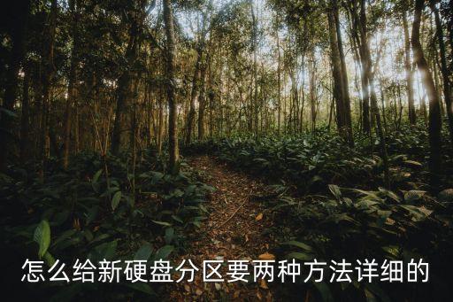 新硬盤怎么分區，怎么給新硬盤分區要兩種方法詳細的