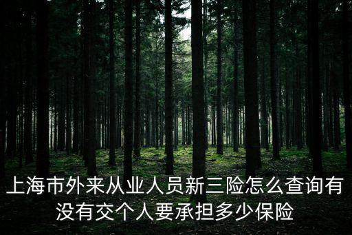 上海市外來從業人員新三險怎么查詢有沒有交個人要承擔多少保險