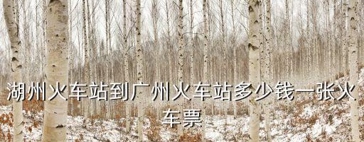 湖州火車站到廣州火車站多少錢一張火車票