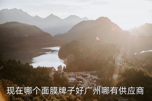 廣州笑顏奶油肌乳液面膜，請問這是什么化妝品