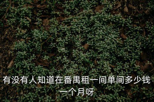 廣州番禺時(shí)代外灘月租，有沒有人知道在番禺租一間單間多少錢一個(gè)月呀