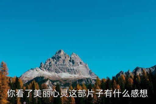 美麗心靈影評，大家對電影美麗心靈的感想