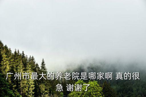 廣州市老人院慈恩樓，廣州市最大的養老院是哪家啊 真的很急 謝謝了